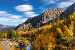 Tioga Pass aspens-4885.jpg Tioga Pass aspens-4885.jpg